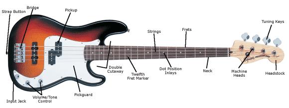 3 1. What is a Bass Guitar? A bass guitar is like a guitar, but with only the lowest four strings. The strings are thicker and give you a lower sound than a guitar.