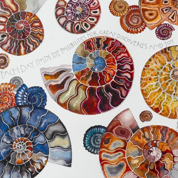 Ammonites SQ-90 Each day