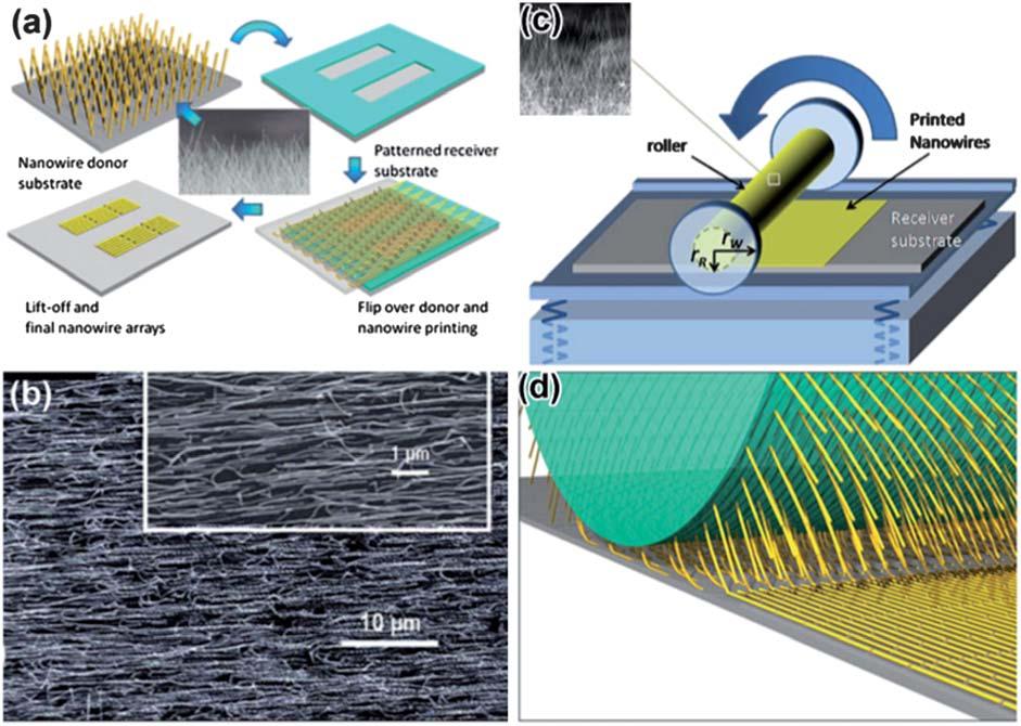 be extended to transfer other metal oxide nanowire mats to make highly reliable transparent transistors.