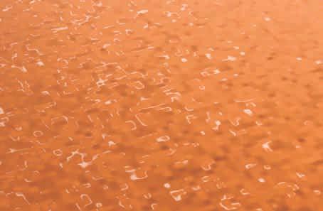Orange Peel Description: Dry paint film has a dimpled surface.