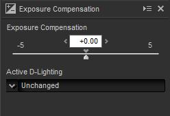 01 EV, use the Exposure Compensation control in the image adjustment palette.