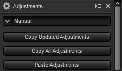 Paste Adjustments: Apply adjustments copied using Copy Updated Adjustments or Copy All Adjustments to the currently-selected image or images.