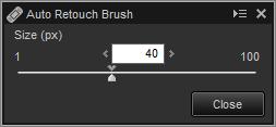 Removing Dust and Scratches Dust and scratches can be removed using the retouch brush tool. Clicking the button in the toolbar displays the retouch brush palette.