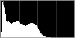 If the image is dark, tone distribution will be shifted to the left.