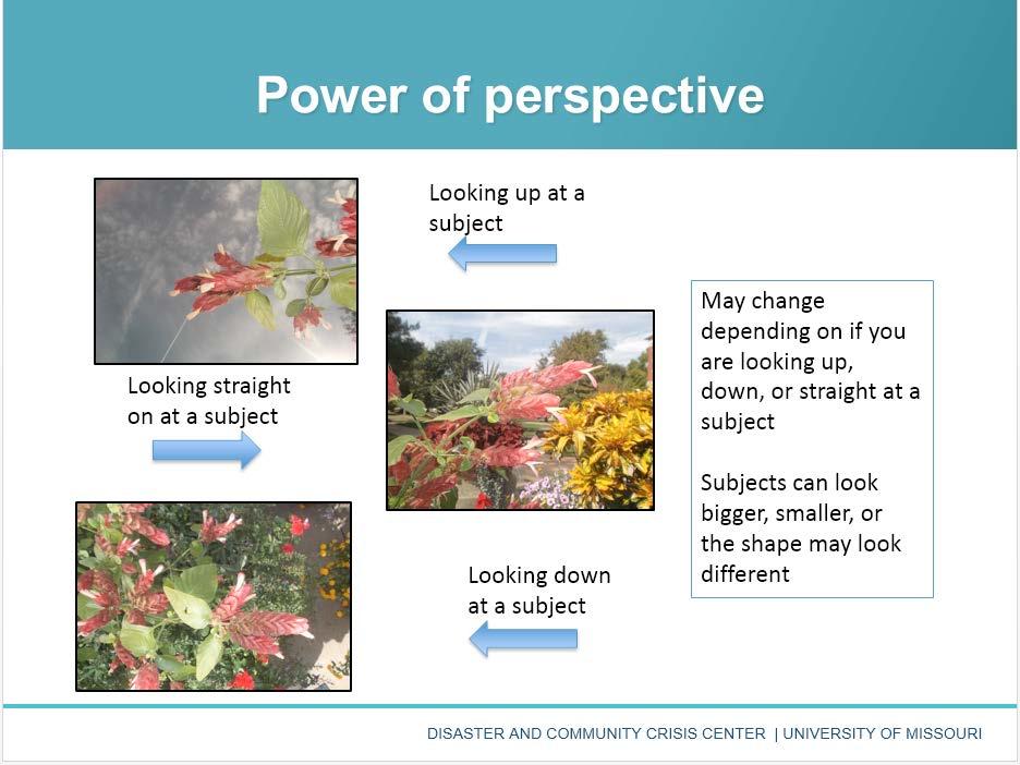 Ask group members to think about the power of perspective. How can the content, mood, and message change when a photo is taken from different angles?