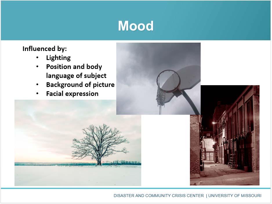 Define mood as it relates to photography. The mood of the picture is the emotion or feeling the picture portrays.
