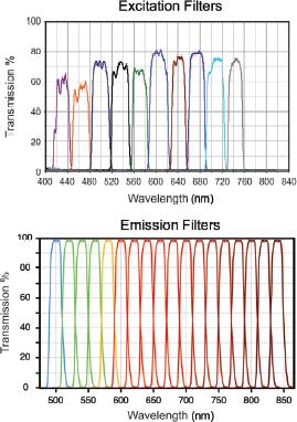 Figure 8 IVIS Spectrum excitation and emission filters Eight excitation and four emission filters come standard with a fluorescence-equipped IVIS Imaging System (Table 1.1).