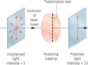 24.6 Polarization Polarized light may be produced from