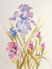 demonstrate different techniques and methods to make the flowers come alive - Delphiniums, Poppies, Pansies and Irises.