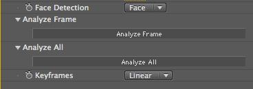 Clicking on Analyze Frame tells Beauty Box that you want to use the current frame to determine the skin tones that will be smoothed.