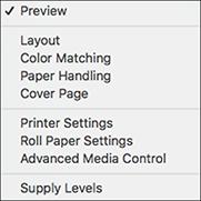 6. Select the size of the paper you loaded as the Paper Size setting. To print a borderless photo, select the Borderless checkbox or a paper size with a Borderless option.