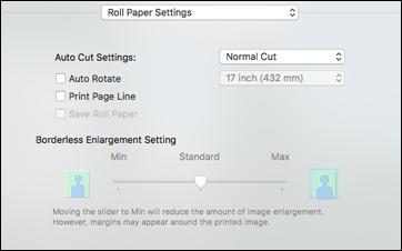 You see this window: Note: Some settings may not be available, depending on the Roll Paper option you selected for your Paper Size. 2.