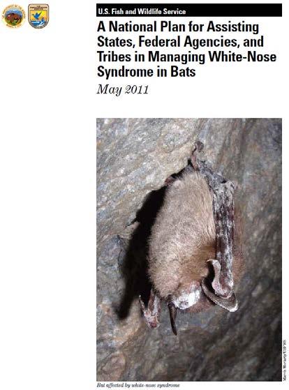 White-Nose Syndrome 2011 National WNS Management Plan Outlines the actions necessary for state, federal, and