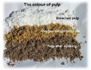 Composition of Paper and Pulping Process Here, chlorine is passed into the pulp-water mixture. The chlorine reacts with the small amount of lignin still remaining.