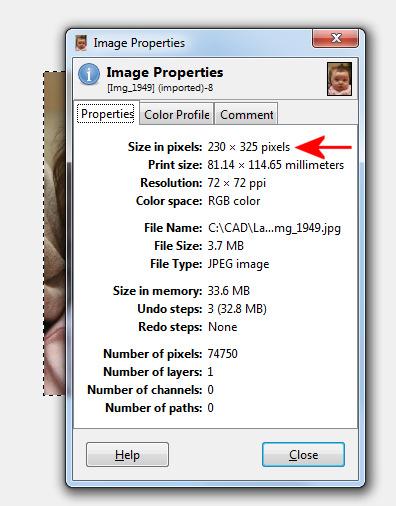 As a check, click on "Image" and then on "Image properties".