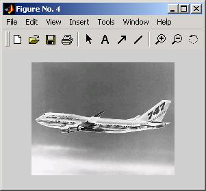 Figure 4.4: JPEG Image Figure 4.5: Grayscale Image 4.3 Writing an Image Sometimes an image must be saved so that it can be transferred to a disk or opened with another program.