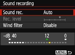 level] options [Auto] : The sound-recording level is adjusted automatically. Auto level control will operate automatically in response to the sound level. [Manual] : For advanced users.