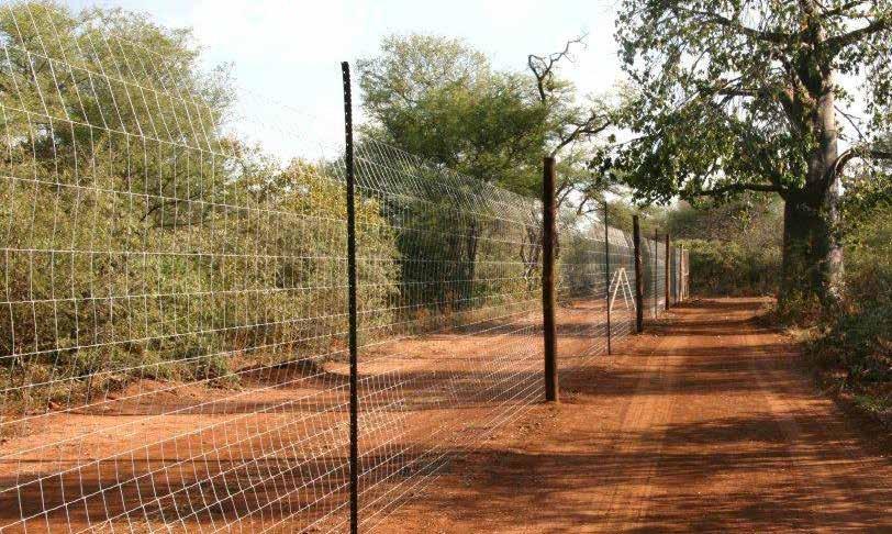 Netting Wire Bonnox and Fieldfence Nettingwire is usually utilised as a means of excluding vermin (e.g jackals, rabbits etc.) and at the same time, controlling domesticated animals (e.g. birds, small and large chickens) Specifications: Height Aperture Wire Diameter Roll length 300mm 13mm 0.