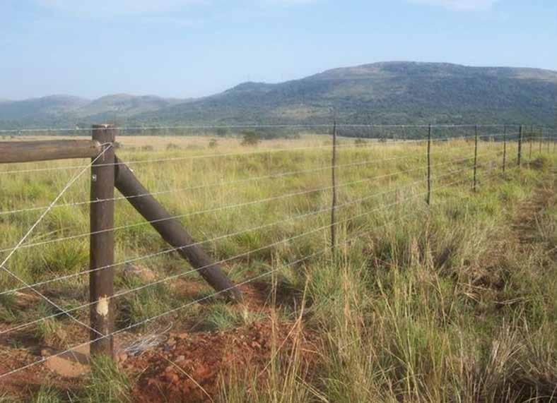 A cattle fence usually consists of 5 strands barbed wire, either single or double strands.