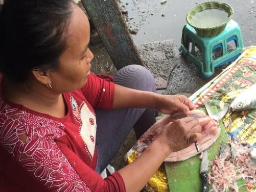 Finding: Direct engagement of women in milkfish processing and shrimp farming Homestead milkfish processing industries provides significant opportunity for women;