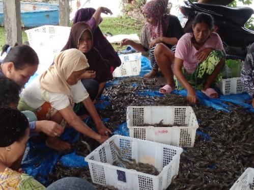 Shrimp farming case showed low participation of women, perceptions of the work s physical strength requirements (men s work).