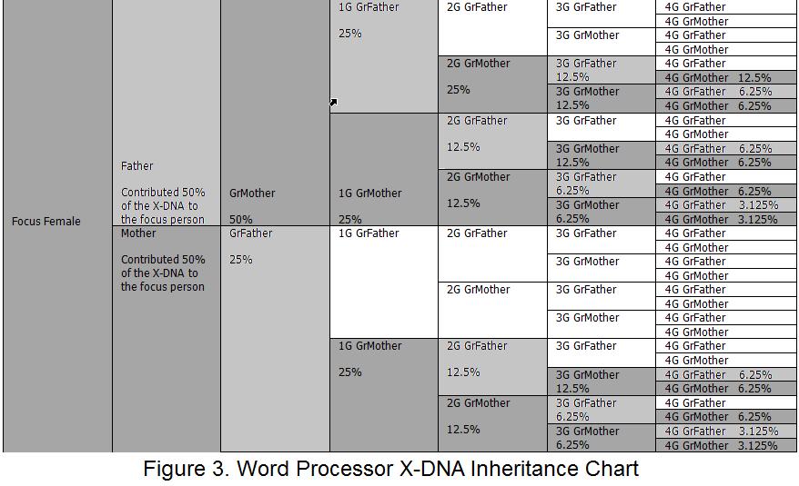 Figure 3. X-DNA TEST RESULTS The X chromosome is tested along with chromosomes 1 through 22 during an autosomal DNA test. The X-DNA test results consist of raw DNA data.