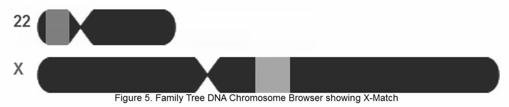 When viewing matches in the chromosome browser, the X chromosome is now displayed at Family Tree DNA. See figure 5. The display at 23andMe in the chromosome browser is very similar.