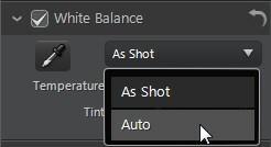 Adjustm ents White Balance Use white balance for color correction or you can use it to adjust the color temperature of a photo to create a specific atmosphere.