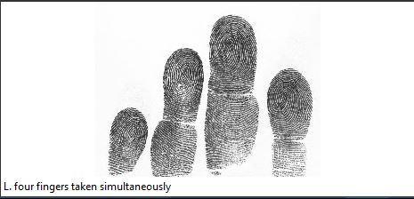 Obtaining Quality Prints Fingerprints are the combination of ridges and valleys found on the hand of every individual.