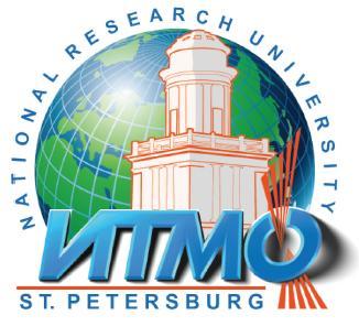 Students are studied in the ITMO University during the first academic year and in the WUT during the second one.