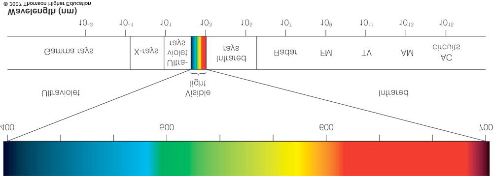 The Stimulus of Vision Figure 3.1 p.44 The stimulus of vision (in humans) is the visible light portion of the electromagnetic spectrum. In figure 3.