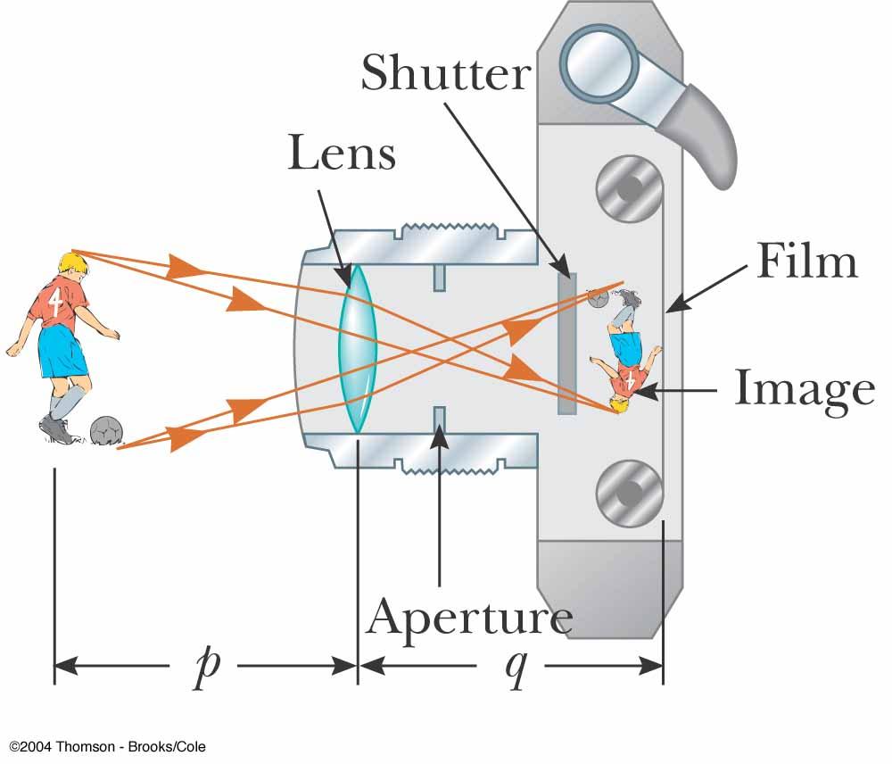 M = M 1 M 2 Combination of Lenses" Cameras " A camera is essentially a converging lens with a short focal