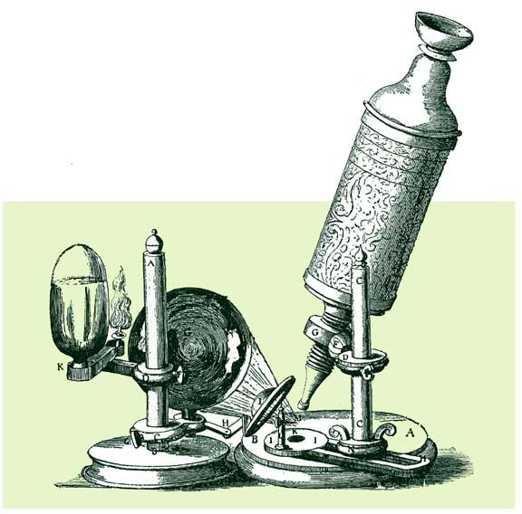 Compound Microscopes (cont)" Robert Hooke s