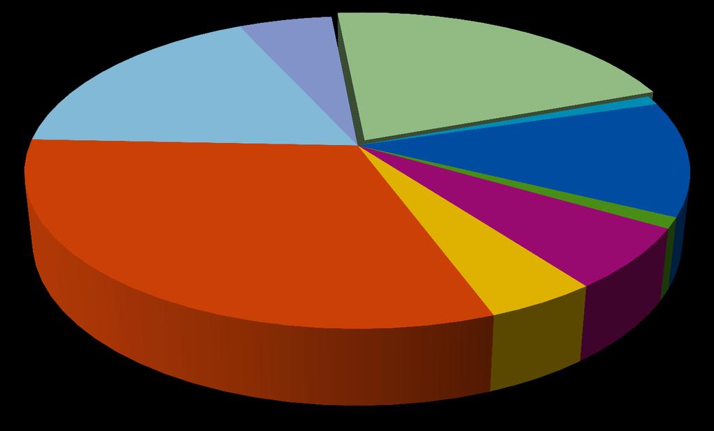 Type of Ship in European Waters (AIS data from Dirkzwager) Other Type of ships 5% Tankers 18% Unvalid or zero 21%