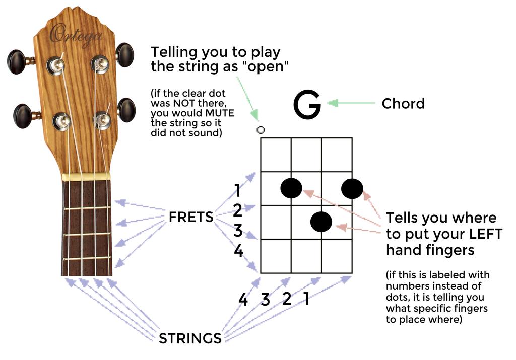 b 5 CHORDS Reading a chord chart is like a musical version of Battleship, where the number/letter pinpoint is fret/string.