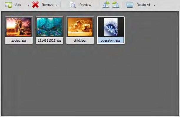 Preview Area The Preview Area is used to add image files you need to convert, manage and preview them while editing. The Preview Area can be represented in two different modes: Thumbnails and Preview.