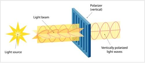 Polarisation The electric & magnetic fields of electromagnetic radiation each have an orientation.