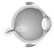 Standards Assessment CHAPTER 7 Which is the function of the iris of the eye? Use the figure below to answer questions 10 and 11. A B C It blends images to create a sense of distance.