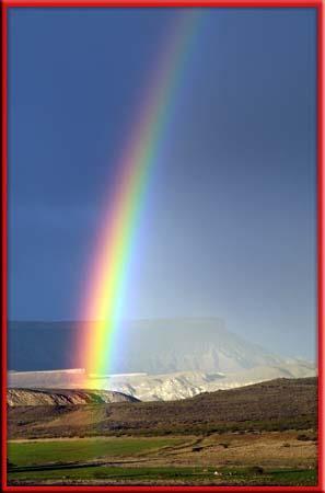 13.1 Rainbows The Behavior of Light In a rainbow, the human eye usually can distinguish only about seven colors