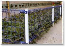 Garden fences enjoy the features of corrosion