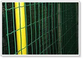 Specification: Electro welded wire mesh, plastic coated on Galvanized core Green ral6005 powder coating Tensile strength: Line wires: 450-550nwt/mm2.