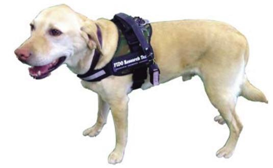 c) Connected fighting dogs: What is the concept? It is a vest for dogs which contains multiple sensors throughout the vest and allows dogs to communicate with their master. How does it work?