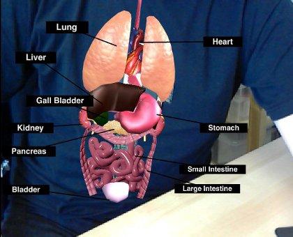 2.2 AR in Medical 11 Fig. 2.3 AR application for studying humans organs [24] 2.2 AR in Medical Doctors can use AR application as a visualization and training aid for surgery [4].