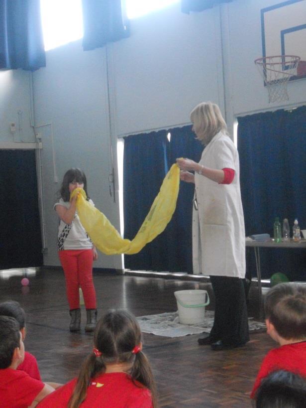 Science Week Bowmansgreen children enjoyed a week of science; they threw themselves into the work and enjoyed the investigations, a workshop and they also looked after the Bowmansgreen chicks!