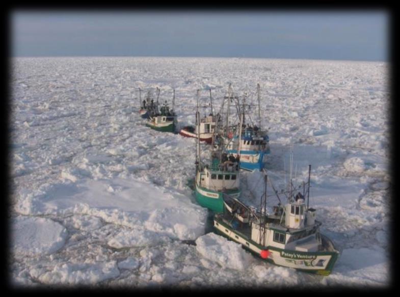Challenges in the Arctic (1) Environment