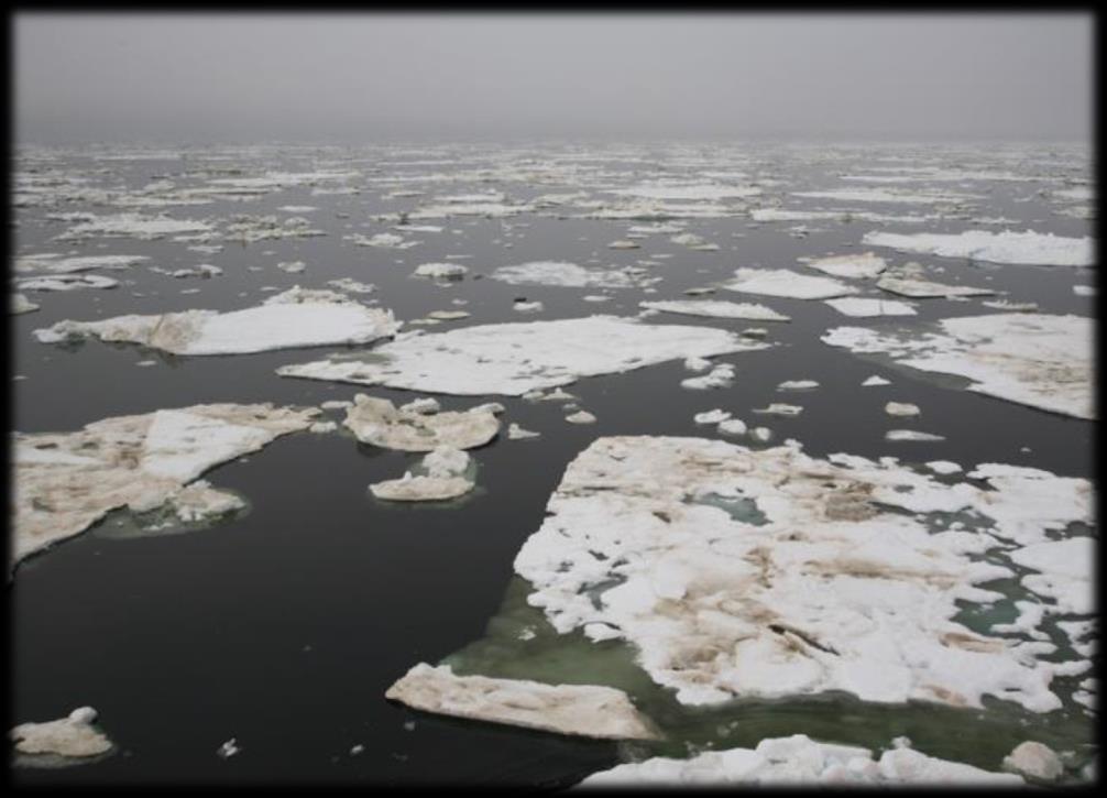 Challenges in the Arctic (3)