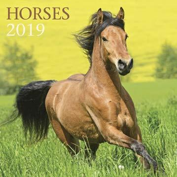 HORSES - BEAUTY ISBN