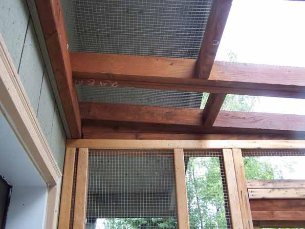 weren t concerned with the parrots chewing on the pressure treated wood.