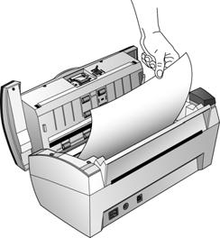 Maintenance Clearing Paper Jams If your scanner stops scanning due to a paper jam in the Automatic Document Feeder, a warning dialog box opens after a few moments. To clear a paper jam: 1.