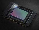Lens, CCD, and image processor technology for high-resolution, high-quality images Large CMOS Sensor Clear RAW NR 14-bit DXP Noise Reduction SRC Technology AGCS Technology Cyber-shot core technology